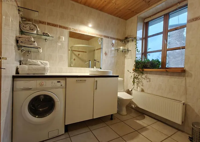 Alevi With Sauna Tallinn